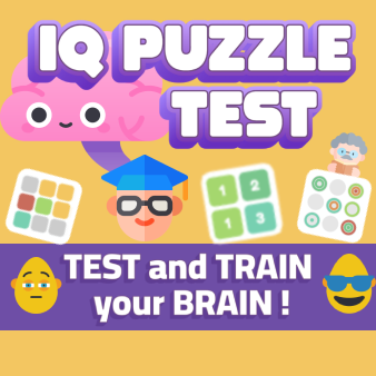 IQ Puzzle Test